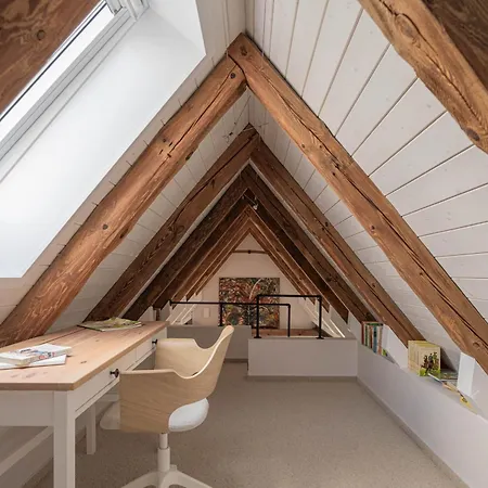 Traumhafte Am Park, Grosser Balkon, Voll Ausgestattete Kueche, Schreibtisch, Wifi, Smart Tv, Carport, Wallbox, Fahrraeder 希舍尔